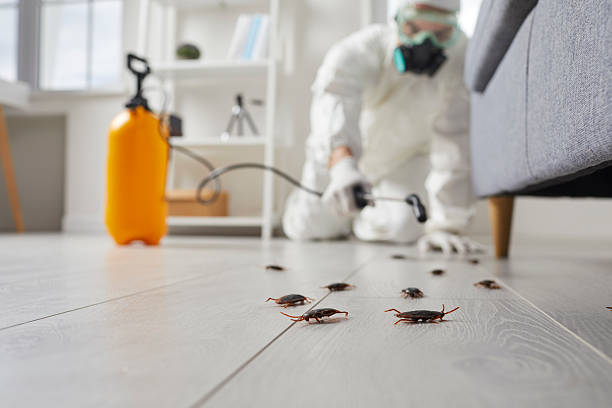 Trusted Termite Control service in Sloatsburg, NY - Nex Pest Control